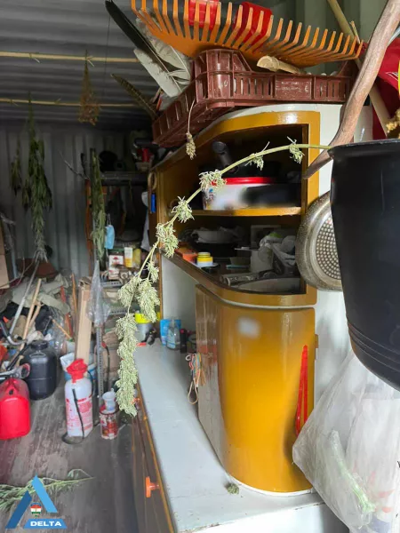 Zoltán, biznisz, drog, rendőrség, krimi, bűnügy, 