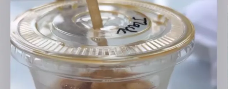 A kávéjáról küldött képet a srác a barátnőjének: leleplezte vele az igazságot - Videó