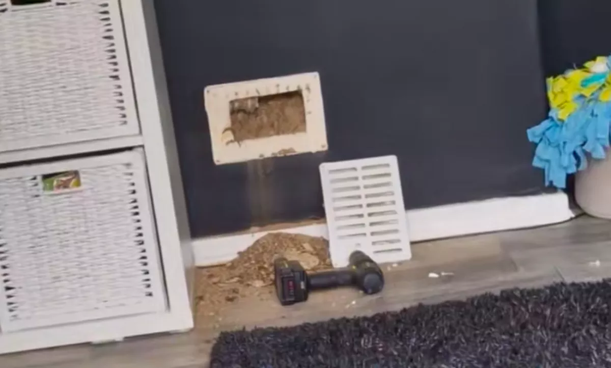 Furcsa zajokat hall a nő a falból: sikítva rohan ki, amikor meglátja a lábat - Videó