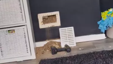 Furcsa zajokat hall a nő a falból: sikítva rohan ki, amikor meglátja a lábat - Videó