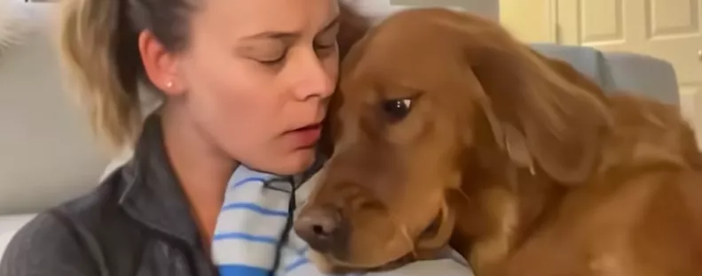 Síró babát tart a karján a nő: amit a golden retriever tesz, megolvasztja a szíveket - Videó