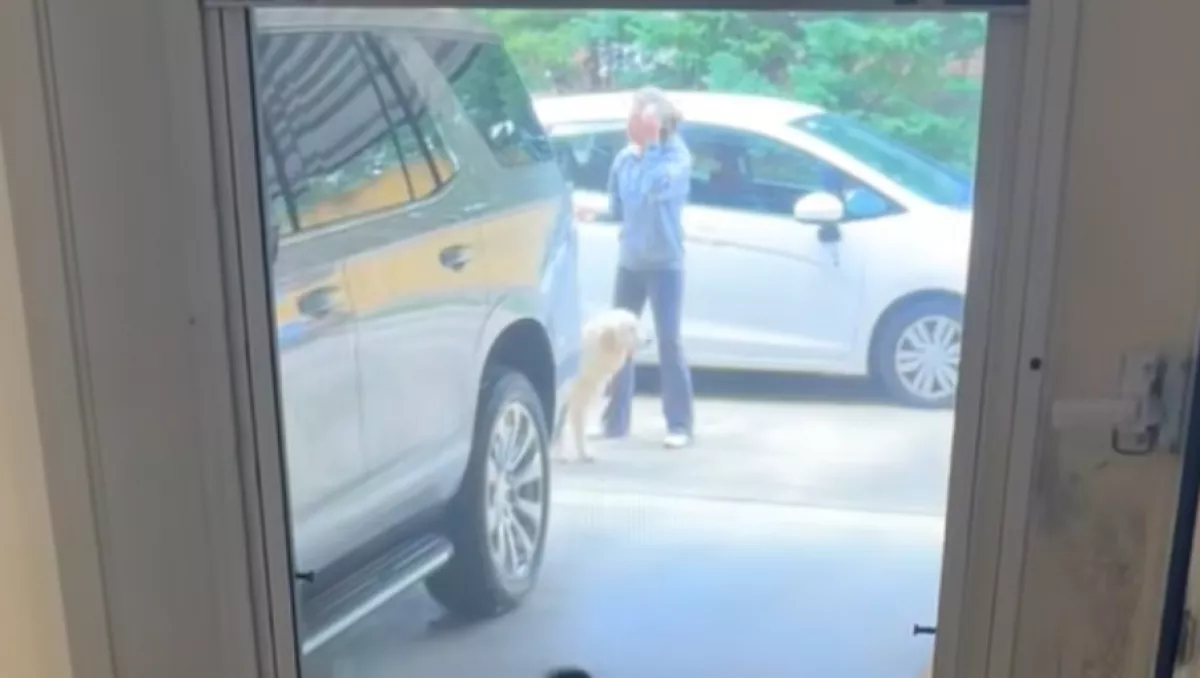 Új kutyával látja a gazdit a golden retriever: a reakciója milliók szívét olvasztja meg - Videó
