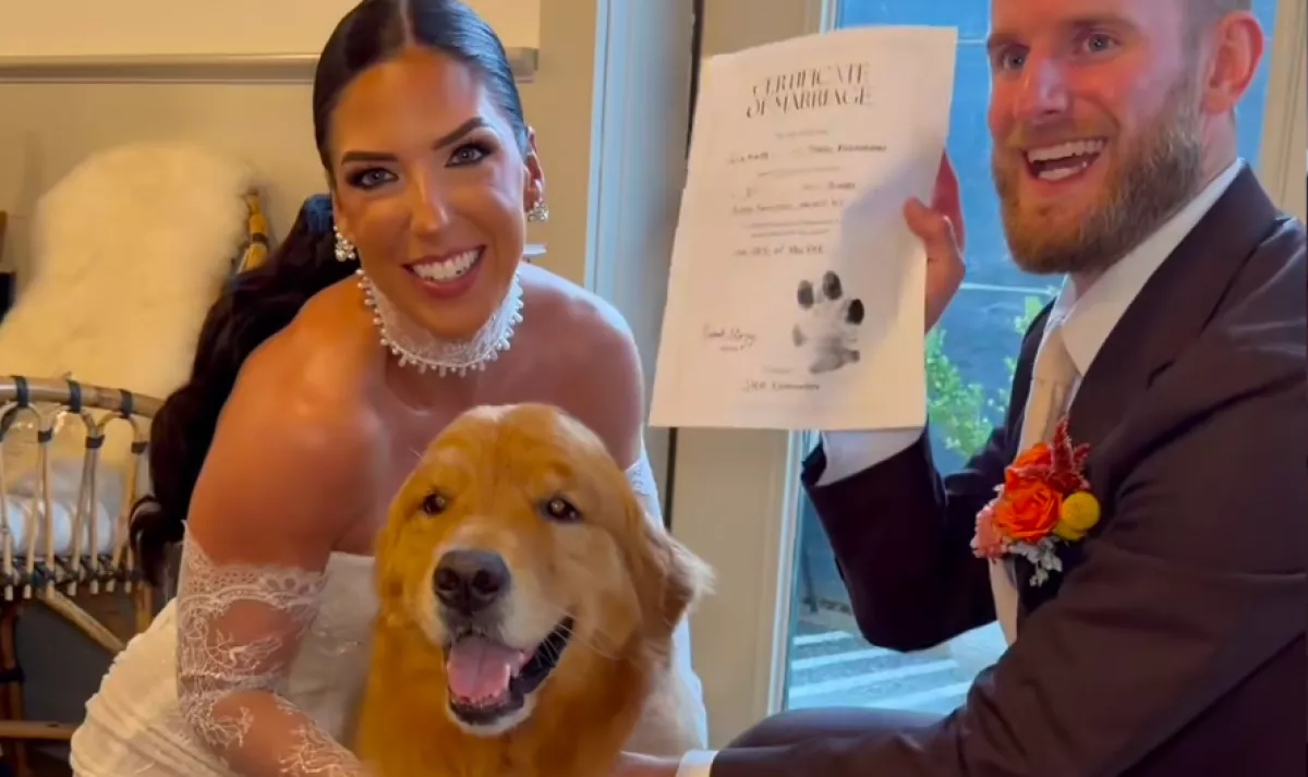 Elviszi a nászútra a pár a golden retrievert: ami ezután történik, megolvasztja a szíveket - Videó