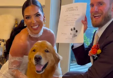 Elviszi a nászútra a pár a golden retrievert: ami ezután történik, megolvasztja a szíveket - Videó
