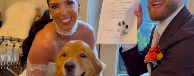 Elviszi a nászútra a pár a golden retrievert: ami ezután történik, megolvasztja a szíveket - Videó