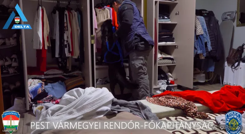 drog, bűnügy, krimi, rendőrség, BMW, 