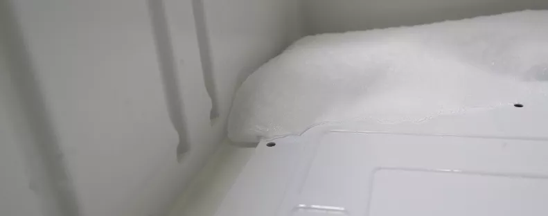 Egy fagyasztóban találtak rá egy 34 éves nő és 10 éves lánya holttestére: tavaly tűntek el