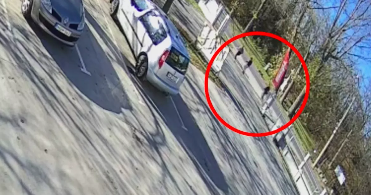 Pénzt kérni lépett oda Attila és György egy társasághoz Kerepesen: ami ezután történt, azért 4 ember ellen is eljárás indult - Videó