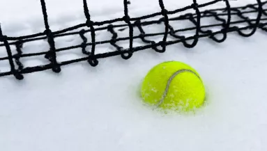 Így menthet állatéleteket télen egy teniszlabda a kertben