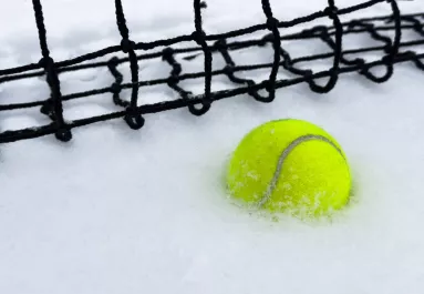 Így menthet állatéleteket télen egy teniszlabda a kertben