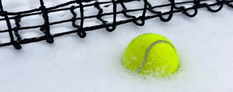 Így menthet állatéleteket télen egy teniszlabda a kertben