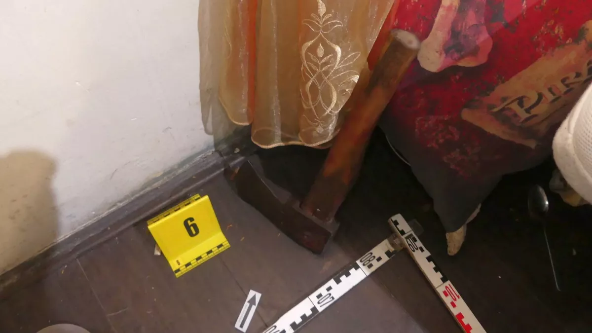 Befogadta az ismerősét a pár Eszteregynén: borzalmas dolgot tett a férfi, amikor ébredés után meglátta a párját - Fotój