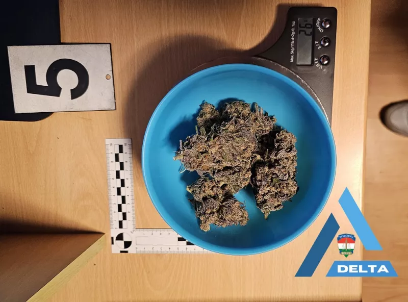 autó, drog, bűnügy, krimi, Enikő, Milán, 