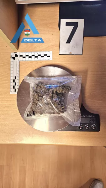 autó, drog, bűnügy, krimi, Enikő, Milán, 