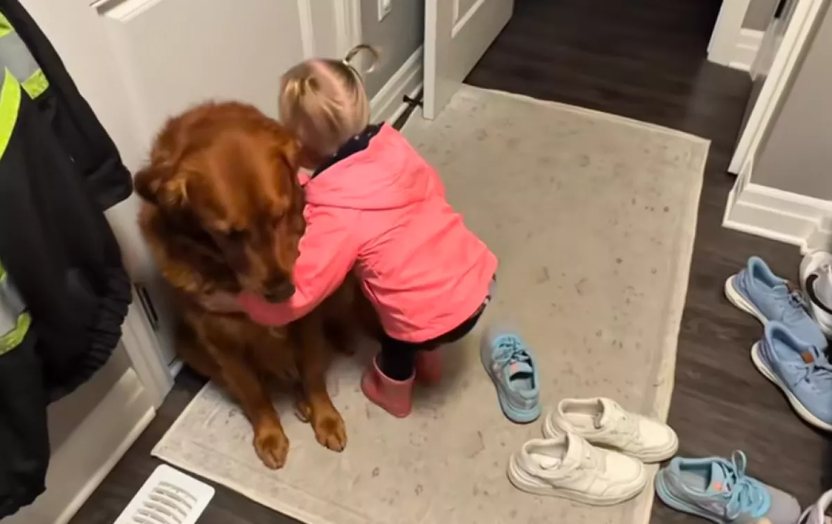 Elbúcsúzik a kislány a golden retrievertől: ami ezután történik, szívfacsaró – Videó