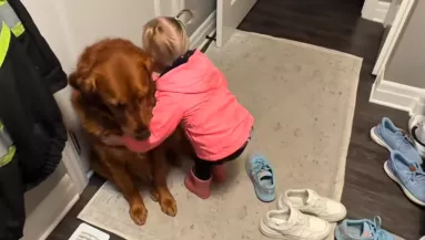 Elbúcsúzik a kislány a golden retrievertől: ami ezután történik, szívfacsaró – Videó