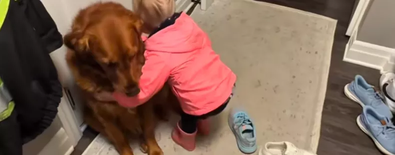 Elbúcsúzik a kislány a golden retrievertől: ami ezután történik, szívfacsaró – Videó