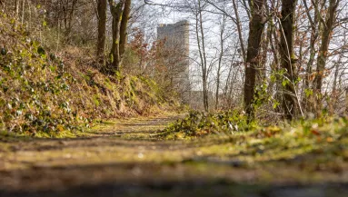 Levágott kezek az autópályán: egy erdős területen találtak a nő holttestére
