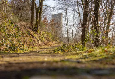 Levágott kezek az autópályán: egy erdős területen találtak a nő holttestére