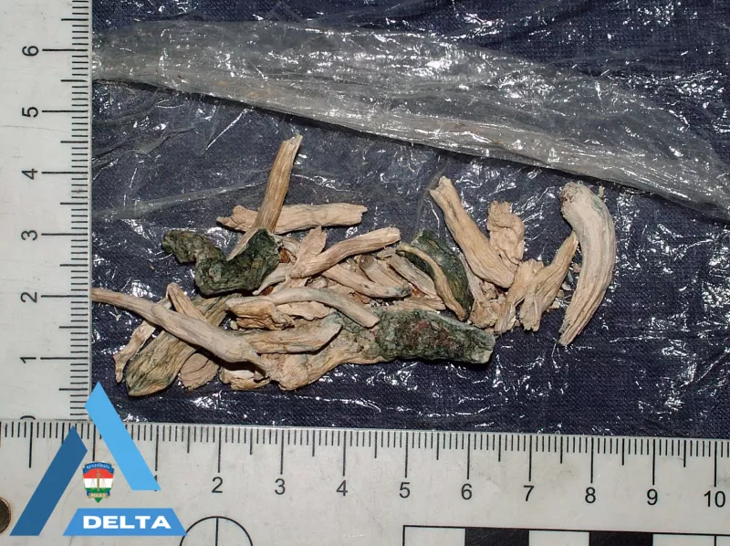 DJ, drog, bűnügy, krimi, ügyészség,