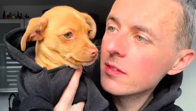 Menhelyről visz haza kiskutyát a srác: ami ezután történik, teljesen összezavarja - Videó