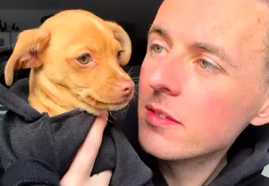 Menhelyről visz haza kiskutyát a srác: ami ezután történik, teljesen összezavarja - Videó