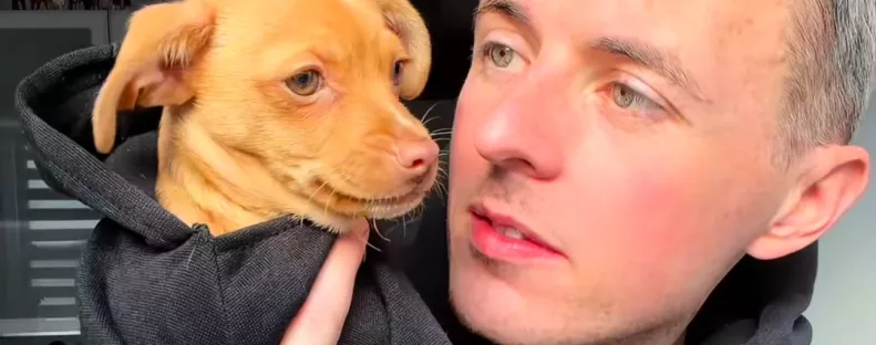 Menhelyről visz haza kiskutyát a srác: ami ezután történik, teljesen összezavarja - Videó