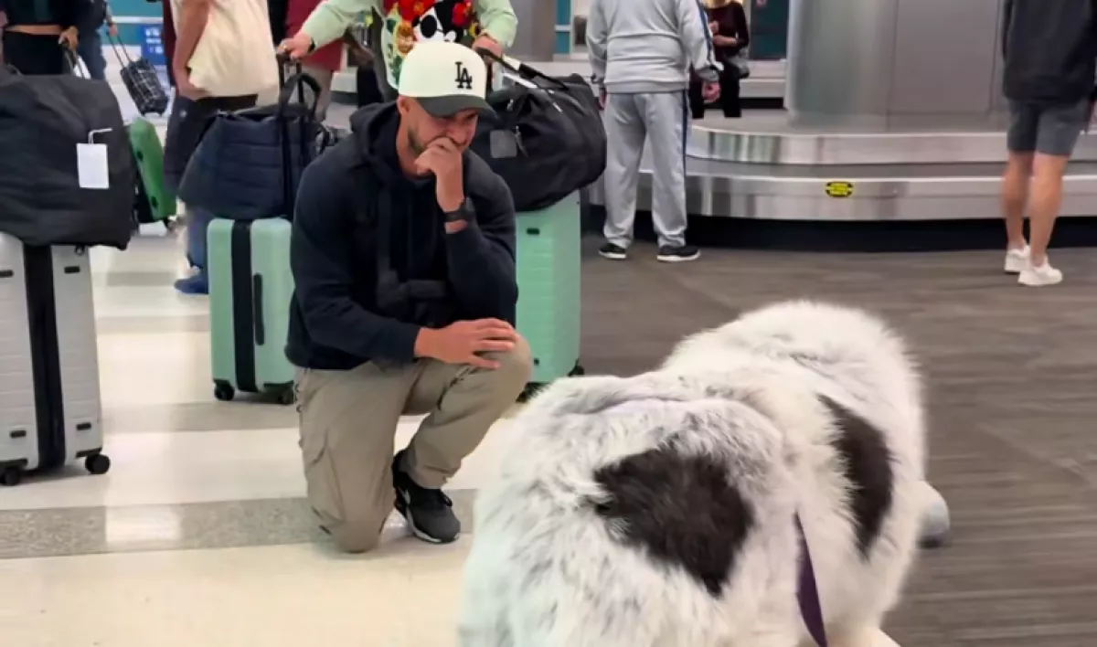 Három hónap után ér haza a férfi: a kutyája reakciója sokkolja – Videó