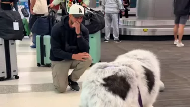 Három hónap után ér haza a férfi: a kutyája reakciója sokkolja – Videó