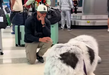 Három hónap után ér haza a férfi: a kutyája reakciója sokkolja – Videó