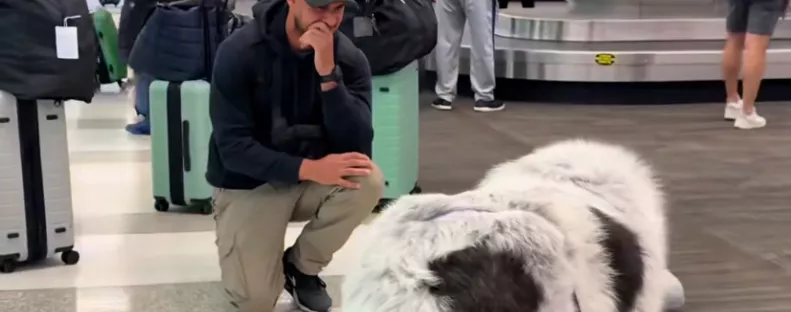 Három hónap után ér haza a férfi: a kutyája reakciója sokkolja – Videó