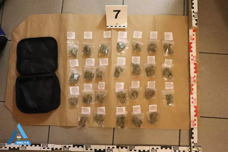 táska, Károly, drog, bűnügy, krimi, rendőrség, 