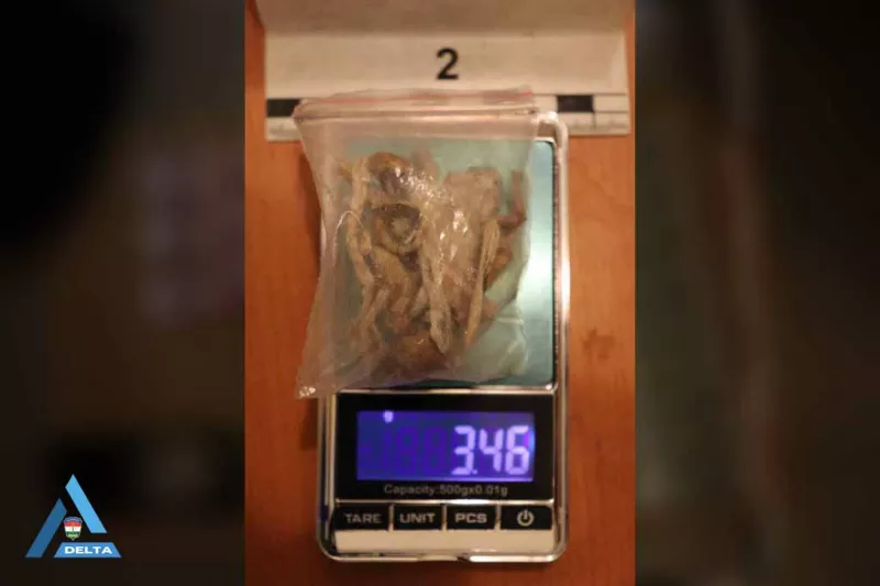 táska, Károly, drog, bűnügy, krimi, rendőrség, 