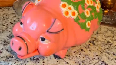 Használt malacperselyt vett Katrina: amikor belenézett, elállt a lélegzete - Videó