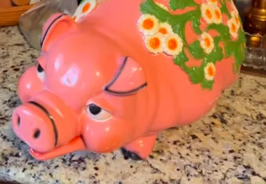 Használt malacperselyt vett Katrina: amikor belenézett, elállt a lélegzete - Videó