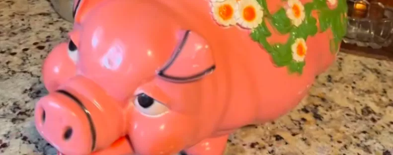 Használt malacperselyt vett Katrina: amikor belenézett, elállt a lélegzete - Videó