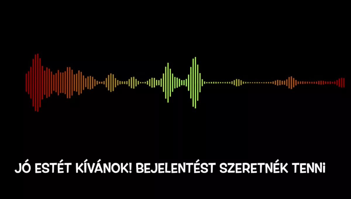 Egy baltás verekedés miatt kért rendőri segítséget "Józsi":  Gergőként ellene indult eljárás - Videó