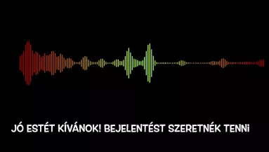 Egy baltás verekedés miatt kért rendőri segítséget "Józsi": Gergőként ellene indult eljárás - Videó