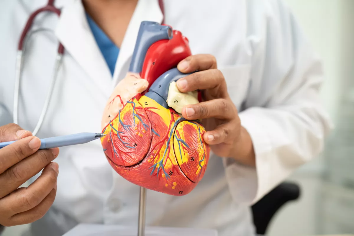 Egészséges reggel: a kardiológusok ezt a reggelit ajánlják