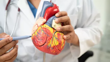 Egészséges reggel: a kardiológusok ezt a reggelit ajánlják