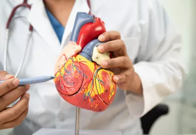 Egészséges reggel: a kardiológusok ezt a reggelit ajánlják