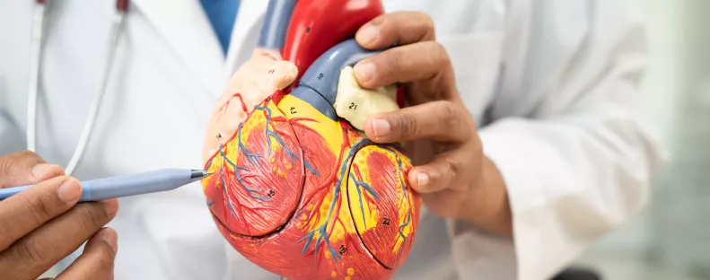 Egészséges reggel: a kardiológusok ezt a reggelit ajánlják