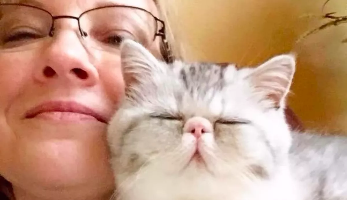 Belenézett a WC-be a nő az éjszaka közepén és megállt a szíve - Fotó