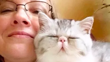 Belenézett a WC-be a nő az éjszaka közepén és megállt a szíve - Fotó