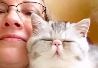 Belenézett a WC-be a nő az éjszaka közepén és megállt a szíve - Fotó