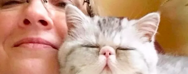 Belenézett a WC-be a nő az éjszaka közepén és megállt a szíve - Fotó