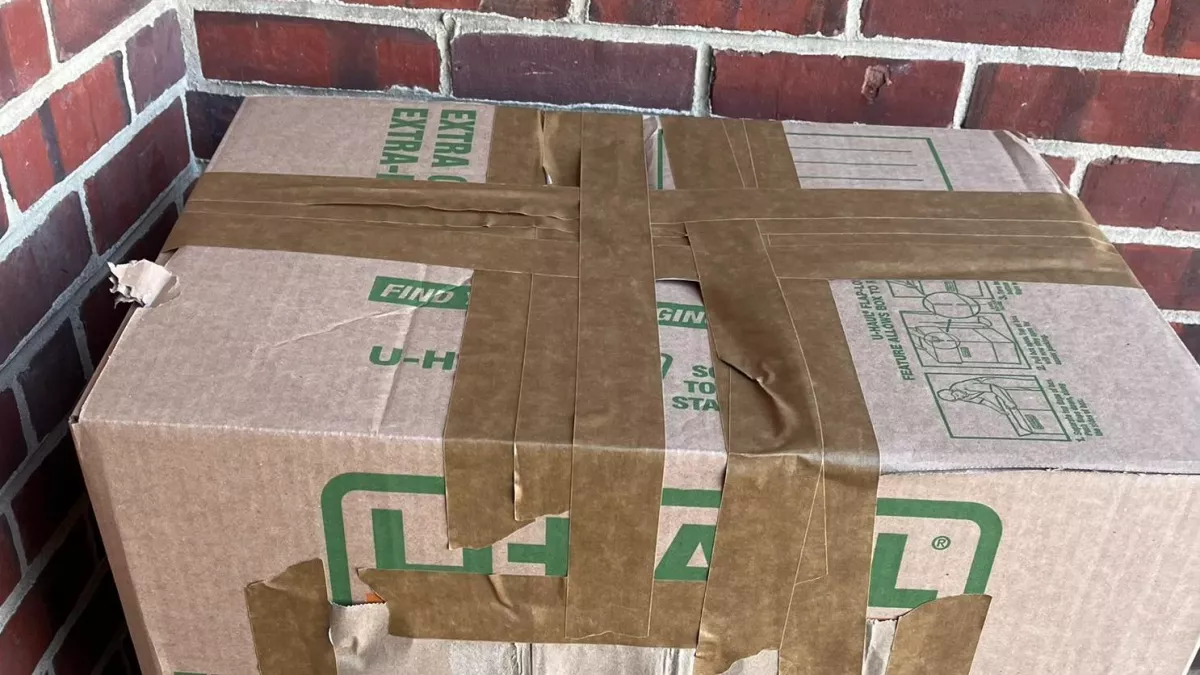 Egy üzenet is volt a menhely előtt hagyott dobozon: amikor kinyitották, megszakadt a szívük - Fotók