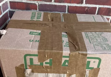 Egy üzenet is volt a menhely előtt hagyott dobozon: amikor kinyitották, megszakadt a szívük - Fotók