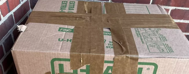 Egy üzenet is volt a menhely előtt hagyott dobozon: amikor kinyitották, megszakadt a szívük - Fotók