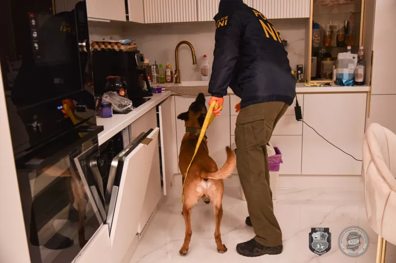 drog, rendőrség, krimi, bűnügy, szolnok, 